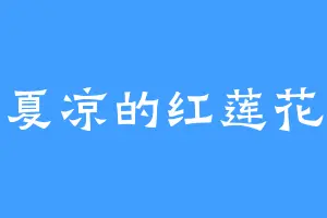 夏凉的红莲花
