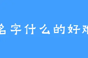 名字什么的好难