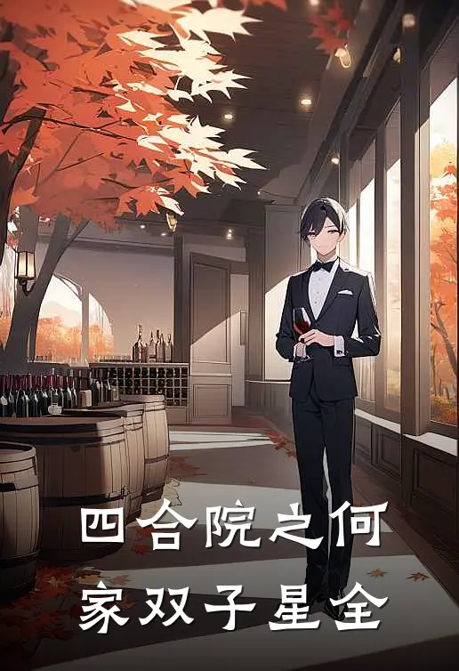 四合院之何家双子星全