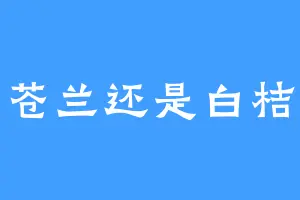 小苍兰还是白桔梗