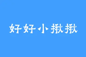好好小揪揪