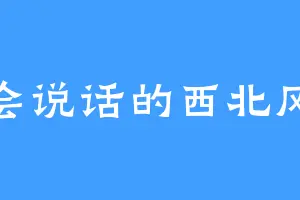 会说话的西北风