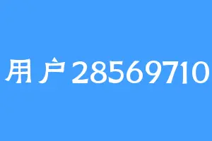 用户28569710