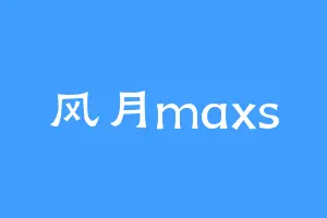 风月maxs