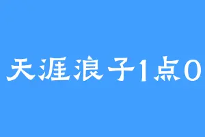 天涯浪子1点0