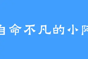 自命不凡的小阿