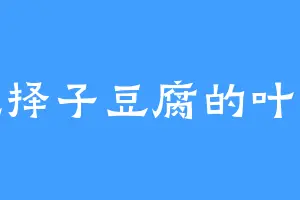 爱吃择子豆腐的叶圣涛