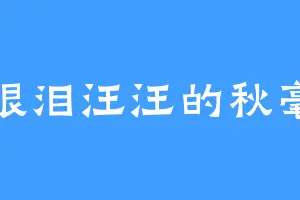 眼泪汪汪的秋毫