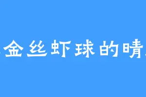 爱吃金丝虾球的晴师傅
